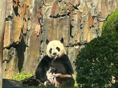 -大连森林动物园