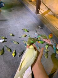 -酷嗒动物文化乐园(cutezoo西溪乐天城店)