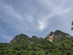 景点-陕西省红河谷森林公园