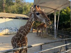 -泉州海丝野生动物世界