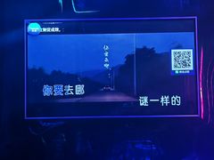 -欢乐迪派对潮K·KTV(华南城店)