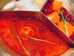 -辣伍鲜毛肚老火锅(元一店)
