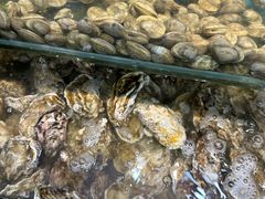 -仙螺岛海鲜自助餐厅(总店)