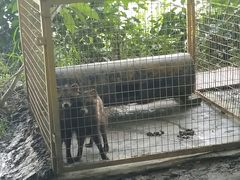 -青瓦房古村落