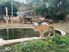 -泉州海丝野生动物世界