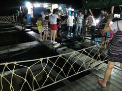 -海上驿站渔家菜馆