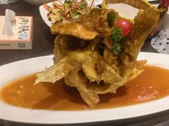 -老牌坊鲁菜名店(聊城美食岛店)