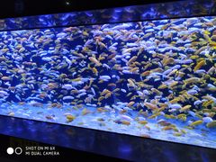 -成都浩海立方海洋公园