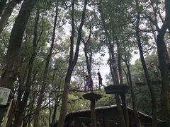 -WeLope紫金山探险公园