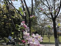 -茗醉园茶楼