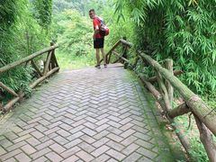 -青城道汤池