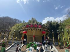 -栾川竹海野生动物园