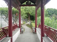 -宏泰园蔬果专业合作社