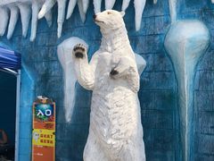 -白鹿仓冰雪海洋世界