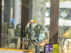 啤酒区域-Taco Bell 塔可钟(民田路店)