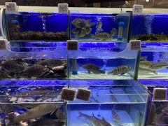 -大润发(南湖店)
