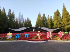 -东平国家森林公园