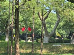 -浙江大学(玉泉校区)