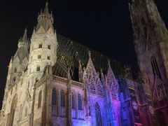 -斯蒂芬主教座堂(Stephansdom)