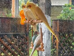 -莫多多餐厅