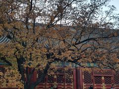 -香山公园-东宫门售票处