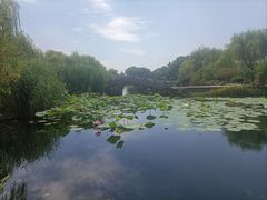 -无锡蠡湖国家湿地公园-蠡园