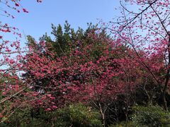-乌山风景区