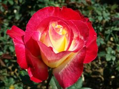 -人民公园(罗湖区)