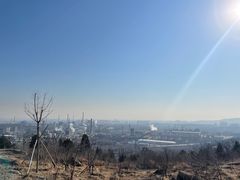 -白水寺森林公园