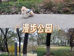 -渭滨公园