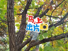 -莫子山公园