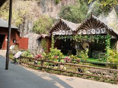 -西双版纳原始森林公园