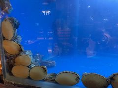-炉角·鲍鱼牛腩煲(国贸商城店)