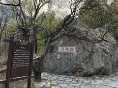 -阳台山自然风景区
