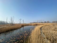 -野鸭湖国家湿地公园