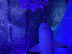 -常州海昌海洋探索馆