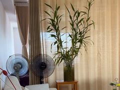 -佰推·肩颈腰·推拿理疗(湾悦城店)