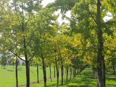 -汉长安城未央宫国家考古遗址公园