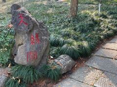 -九曜山