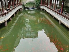 -龙潭水乡