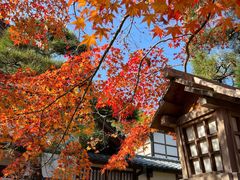 -常寂光寺