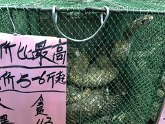 -荔城生鲜盛宴(番禺旗舰店)