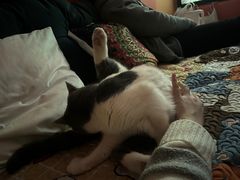 -悠米私人影院(街道口店)