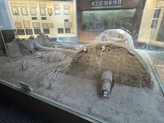 -古车博物馆