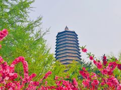 -玲珑塔公园