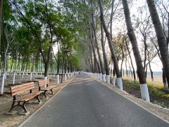 -东郊湿地公园