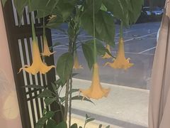 -二分八云雁阁(长治路店)