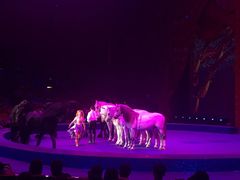 -珠海横琴长隆《卡卡虎奇遇记》