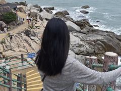 -广东惠东海龟国家级自然保护区