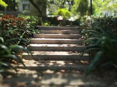 -广东外语外贸大学(白云山校区)